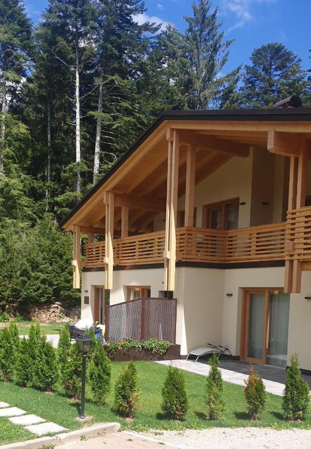 Chalet Relax Molveno E Andalo Dolomiti Villa Exterior photo