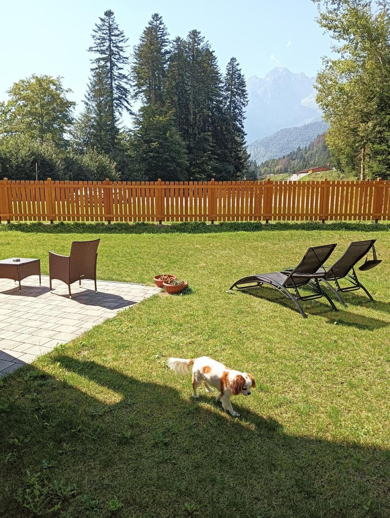 Chalet Relax Molveno E Andalo Dolomiti Villa Exterior photo